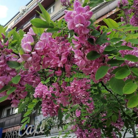 Pulawska 53 Apartman Varsó Kültér fotó